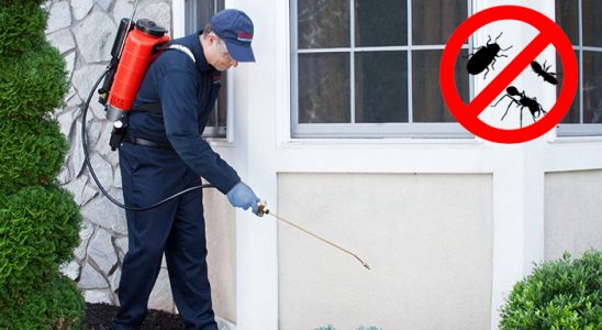 Havza Hamam Böceği İlaçlama böcek ilaçlama ve haşere kontrolü — ilaclama-tr.com